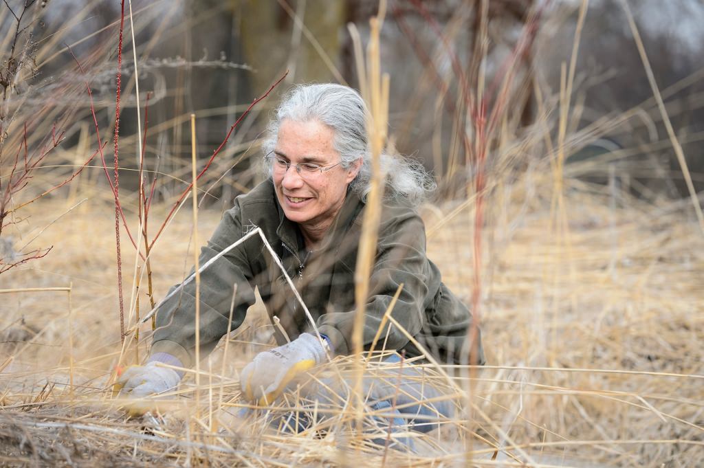 Robert and Carroll Heideman Award for Excellence in Public Service and Outreach Susan Carpenter, a senior outreach specialist, takes a break from pruning plants and brush in the native prairie garden at the University of Wisconsin–Madison Arboretum during early spring on March 24, 2017.