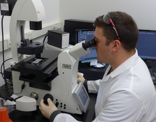 Mitchell Nitschke, a research specialist from Sussex, Wisconsin, examines amoeba on a new microscope in the Filutowicz lab. Dictys grow fast enough to be seen in real time. 