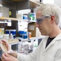 Dan Yelle, , a research forest products technologist with the U.S. Department of Agriculture’s Forest Products Laboratory, in the laboratory.