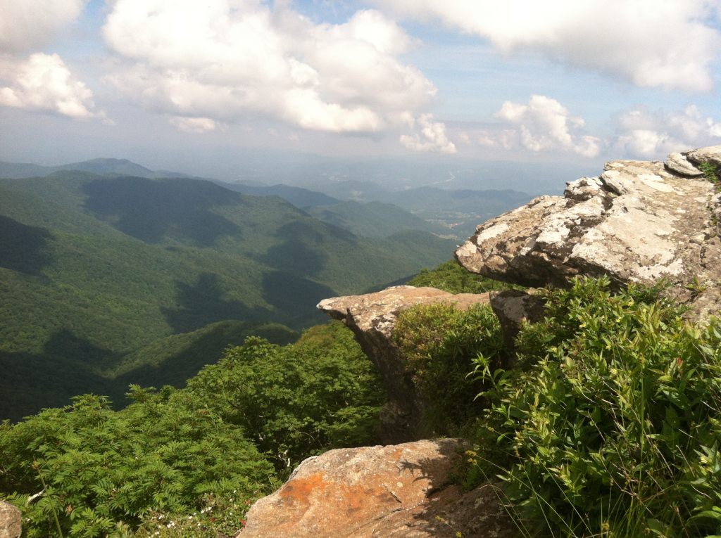 Photo: Blue Ridge Parkway research site