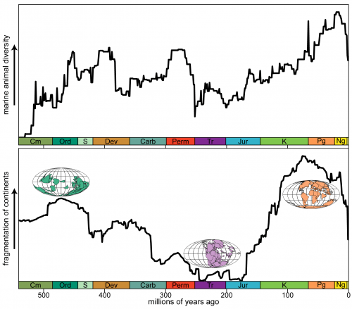 Graphic: Graph of biodiversity during different eras