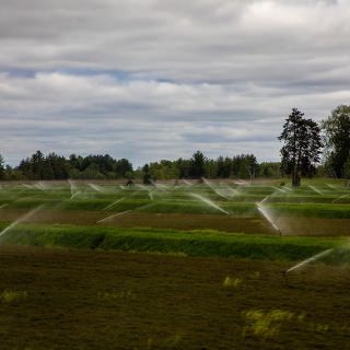 Marshes were visible when travelling from the Gottschalk Farm and provided ideal focal points for discussions on agriculture in Wisconsin.