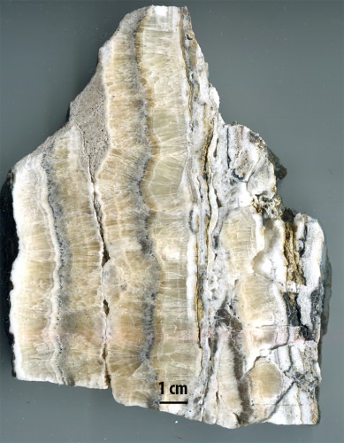 Photo: A polished slab of rock from the Loma Blanca fault 