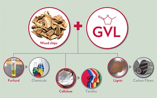 UW–Madison researchers and collaborators have developed a new “green” technology for converting non-edible biomass into three high-value chemicals that are the basis for products traditionally made from petroleum. 