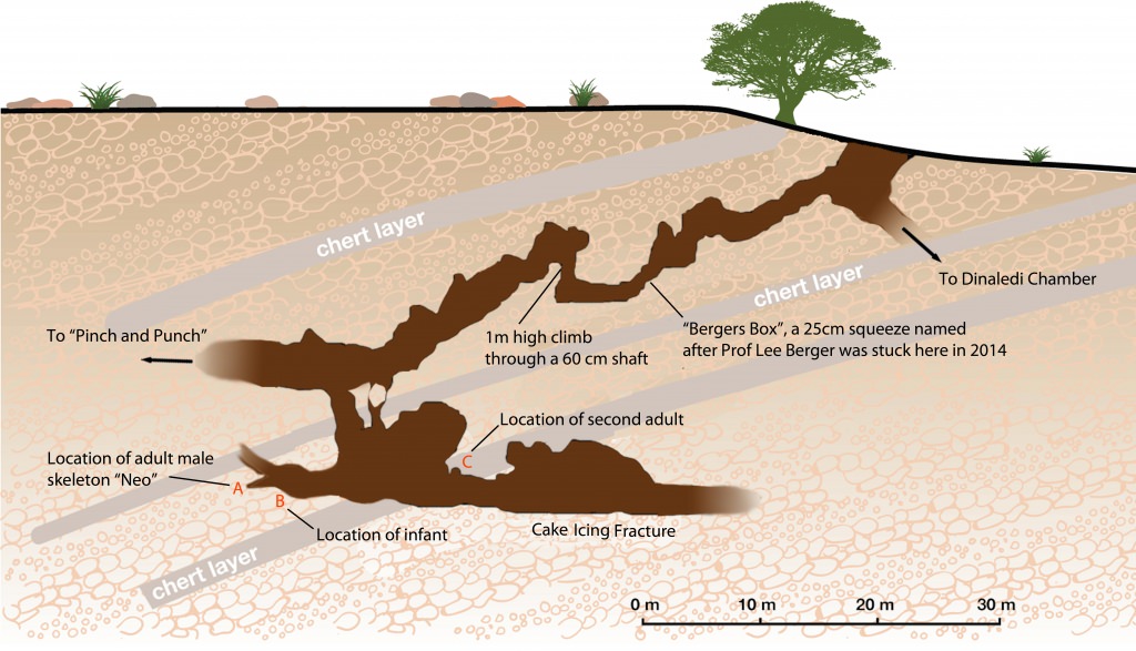 Photo: Diagram of Lesedi Chamber