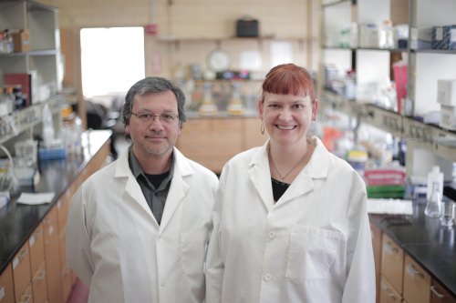 Photo: Daniel Noguera and Katherine McMahon in lab