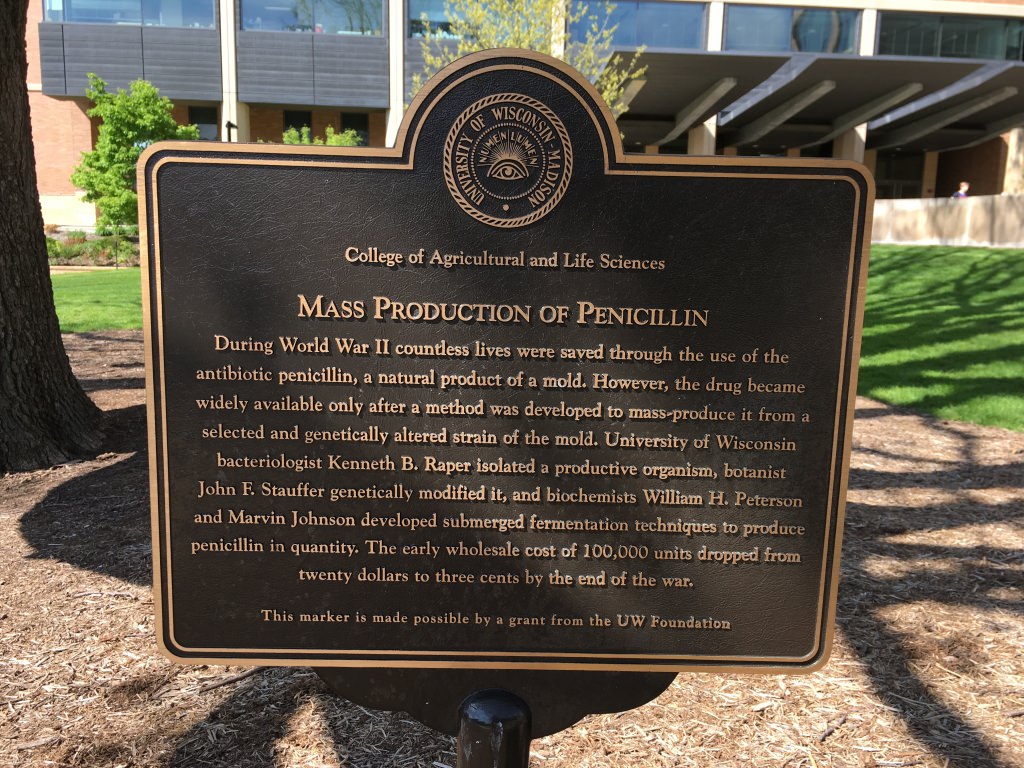 Photo: Penicillin plaque