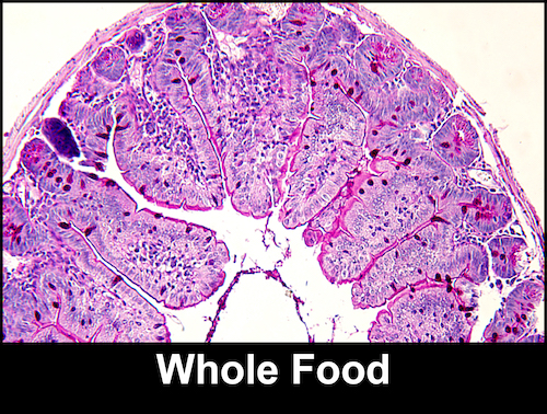 Photo: Whole food villi