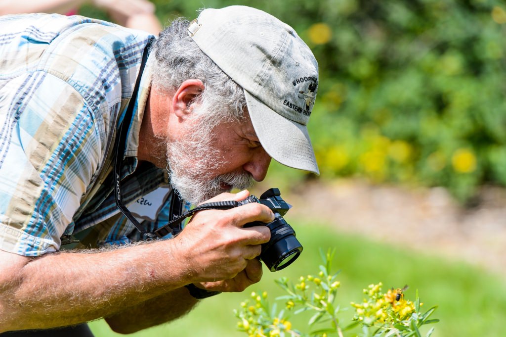 Photo: Jeb Barzen photographing a bee on a St. John's wort plant