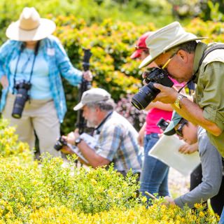 Photo: Group of participants taking pictures of bees