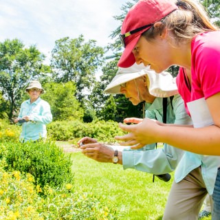 Photo: Maddie Rohr shows Julie Melton how to photograph a bee