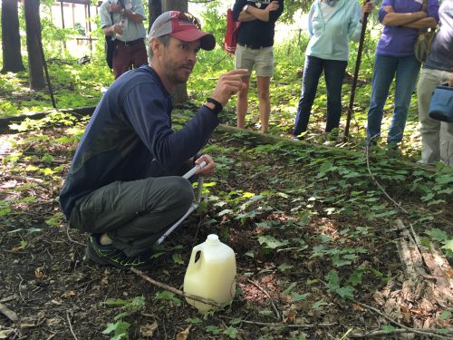 Photo: Herrick showing volunteers how to hunt for jumping worms