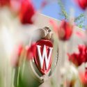 Photo: Flowers in front of UW crest