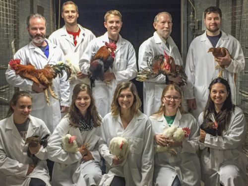 Photo: Mark Cook with lab assistants holding chickens