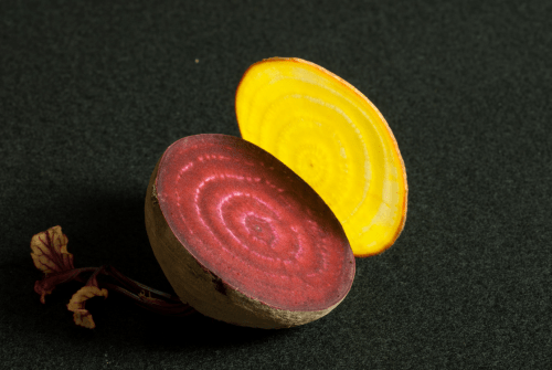 Photo: Slices of red and yellow beets