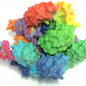 Photo: Model of CRISPR gene