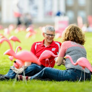 UW alums Scott Radiant (left) and Bonnie Knippel (right) sit amongst hundreds of plastic pink flamingos on Bascom Hill at the University of Wisconsin-Madison as part of the annual "Fill the Hill" event on Oct. 20, 2017. The event, which is part of the UW's "All Ways Forward" campaign, places a pink flamingo on Bascom Hill for each donation received that day.(Photo by Bryce Richter / UW-Madison)