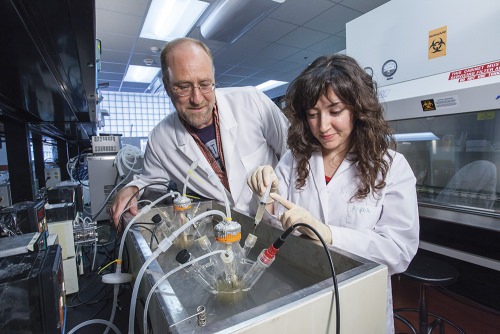 Photo: Jim Steele and Busra Aktas in lab