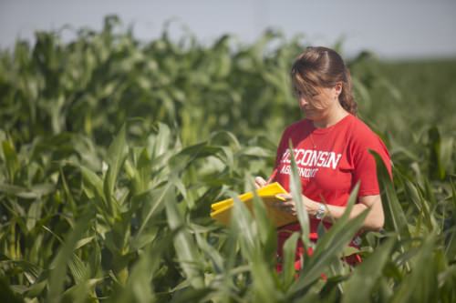 Photo: Natalia de Leon taking notes in cornfield