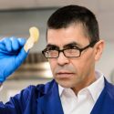 Sam Perez checking the quality of a newly fried potato chip, part of his duties to evaluate storage conditions at the Hancock Agricultural Research Station.