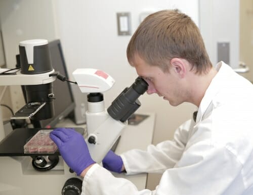 Photo: Jared Carlson-Stevermer looking into microscope