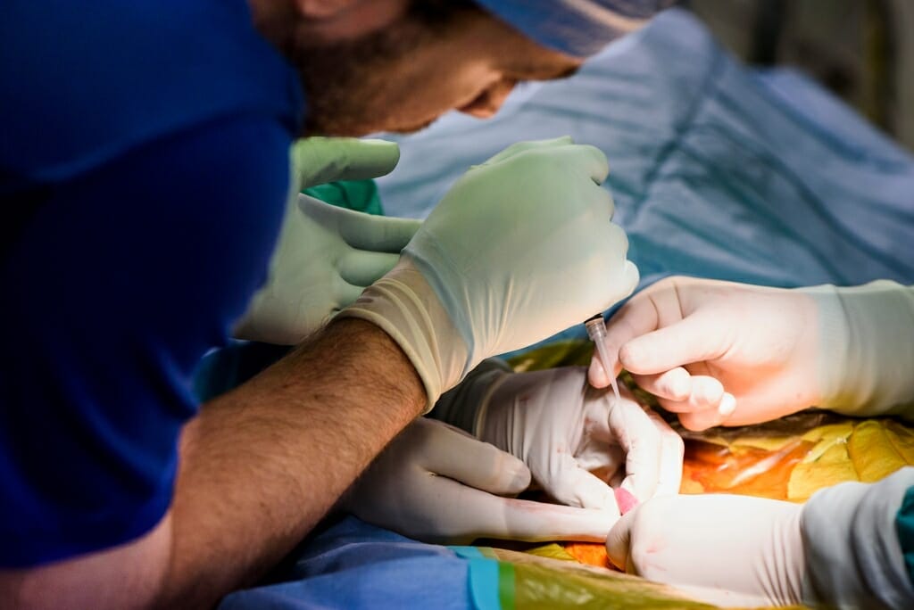 Photo of researchers implanting embryos under a bright light.