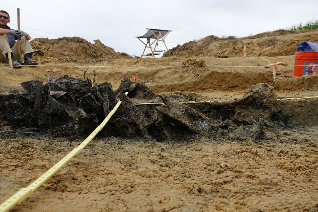 Photo: Debris from plane