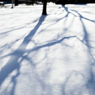 Morning sunlight casts shadows of bare tree branches upon a blanket of freshly-fallen snow on Bascom Hill at the University of Wisconsin-Madison during winter on Jan. 16, 2018. The photograph was made using a tilt/shift-focus lens. (Photo by Jeff Miller / UW-Madison)