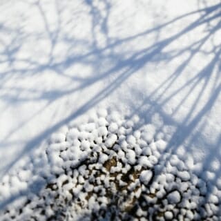 Morning sunlight casts shadows of bare tree branches as a blanket of freshly-fallen snow melts from a corner section of sidewalk on Bascom Hill at the University of Wisconsin-Madison during winter on Jan. 16, 2018. The photograph was made using a tilt/shift-focus lens. (Photo by Jeff Miller / UW-Madison)