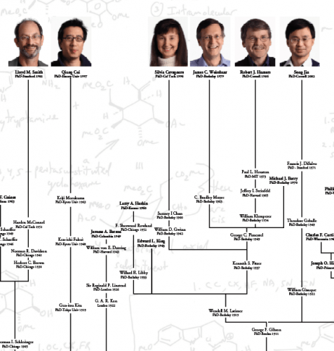 Photo: Detail from chemical genealogy poster