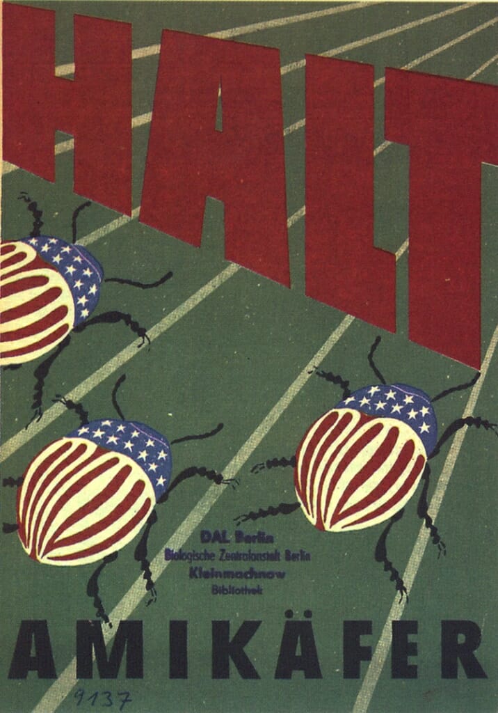 Image: Potato beetles colored as American flags marching toward the word HALT