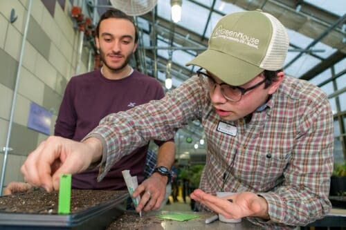 Photo: Student in GreenHouse cap planting seed in box