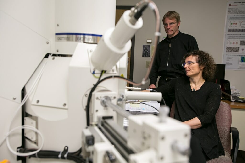 Photo: Giulio Tononi and Chiara Cirelli in the lab at the Wisconsin Institute for Sleep and Consciousness.