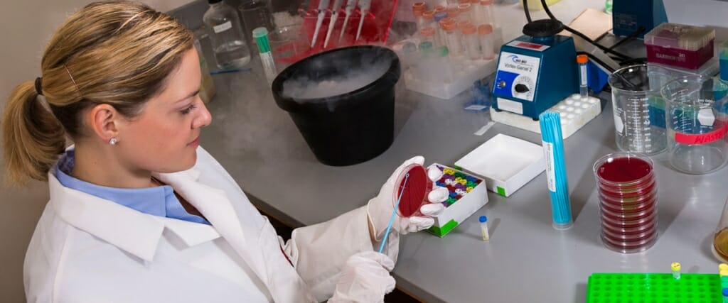 Photo: Laurel Legenza holding petri dish at lab bench