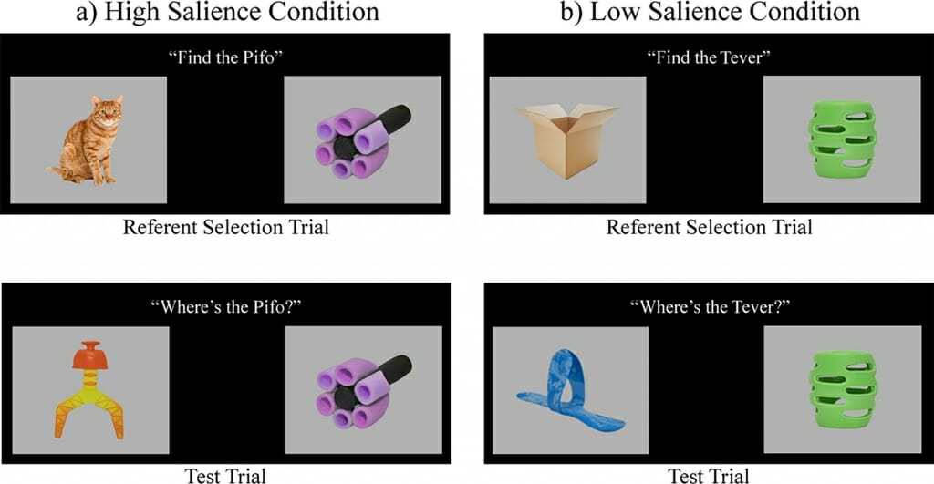 Photo: Graphic of different test images