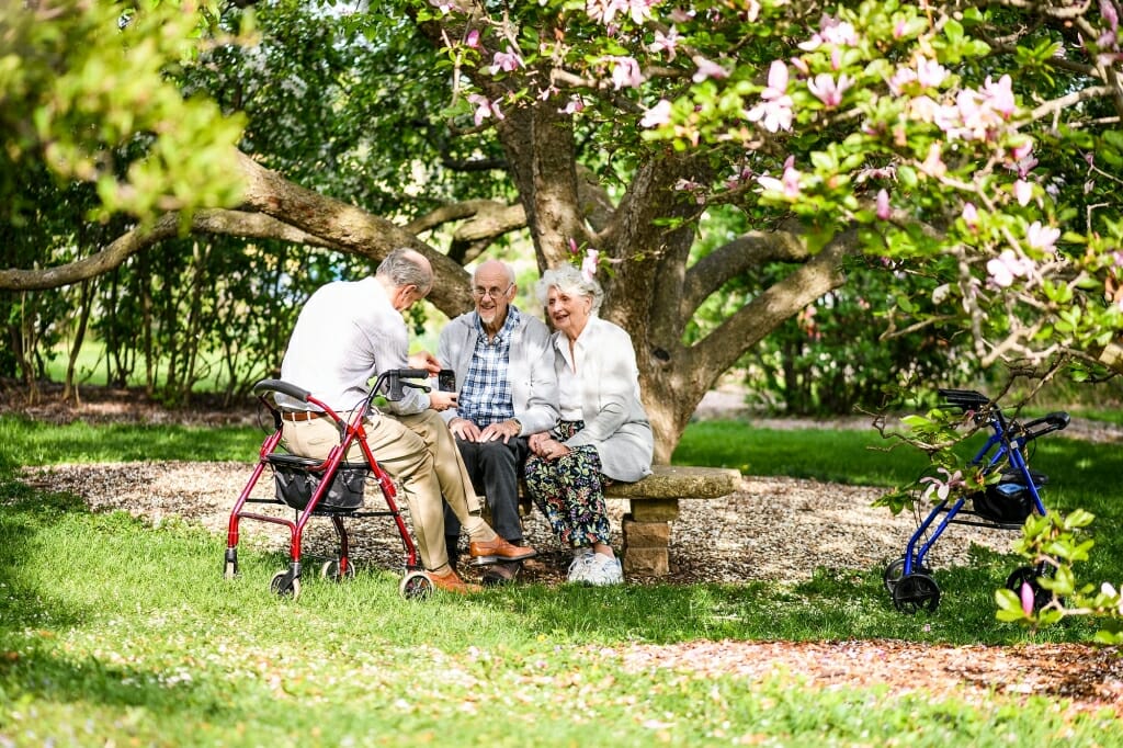 Photo: Man taking cellphone picture of couple sitting in front of tree