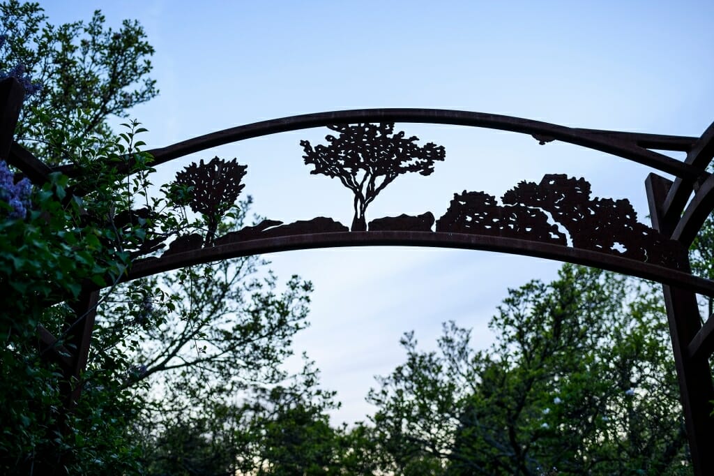 Photo: Arch silhouetted against sky