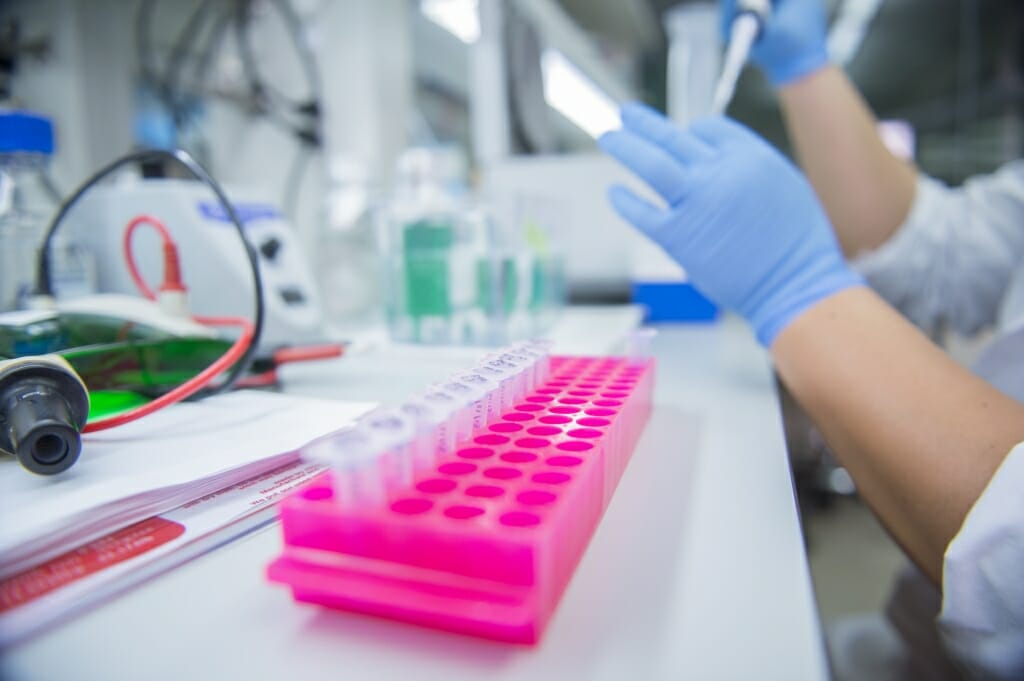 Photo: Closeup of gloved hand of researcher holding pipette