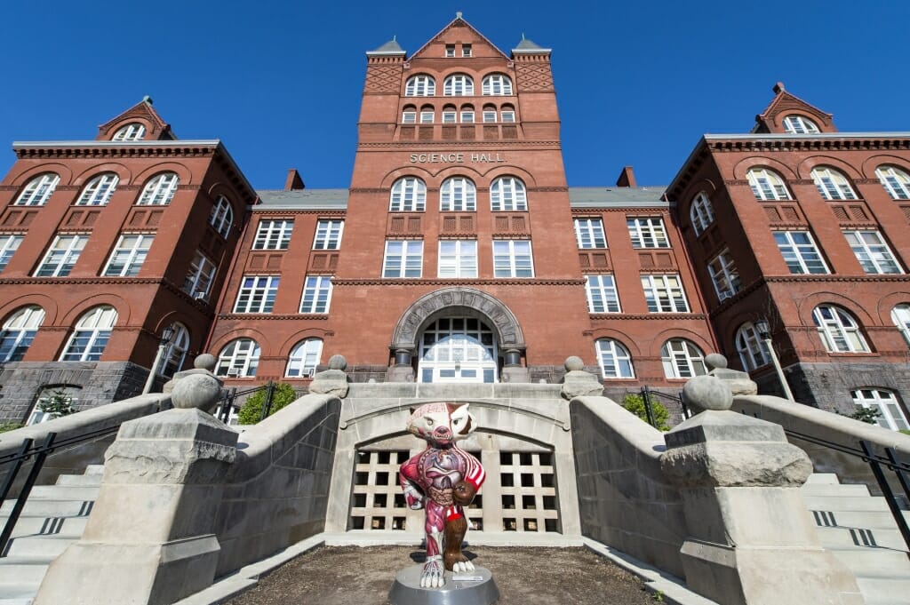 A photo of Visible Bucky outside of Science Hall. 