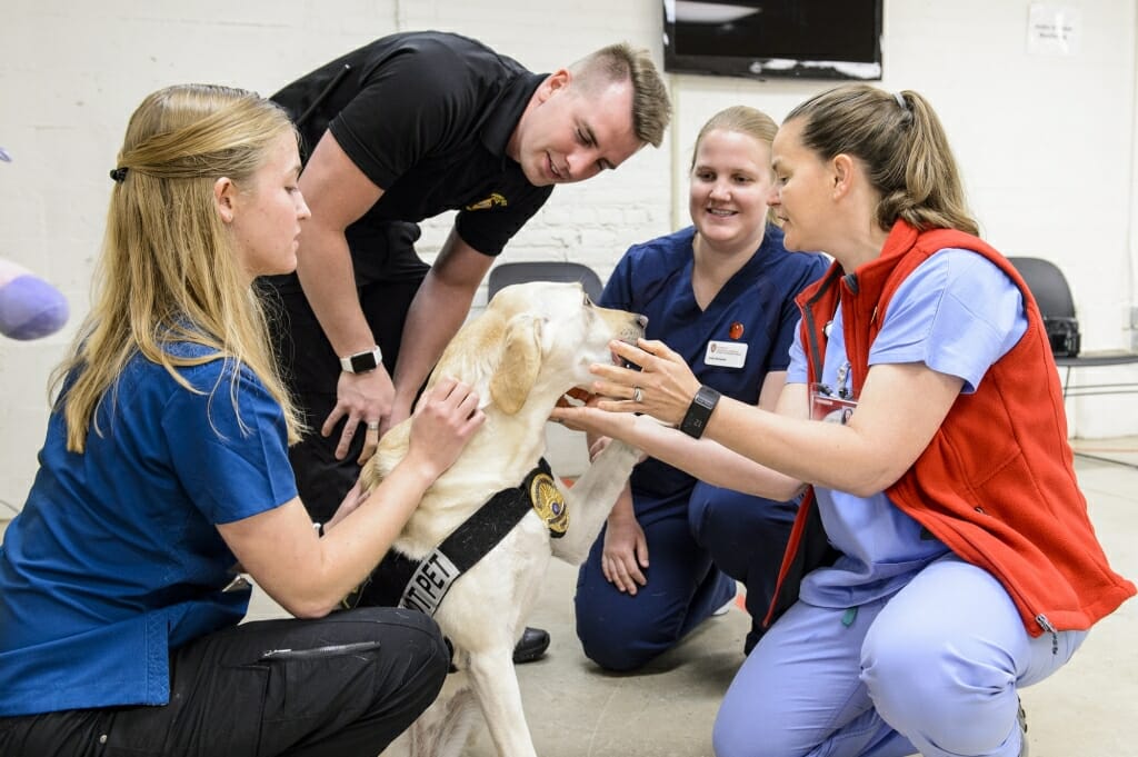 Photo: Officer and dog with faculty member and students