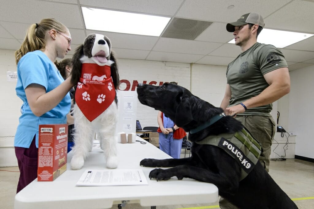 Photo: Police dog sniffing stuffed dog