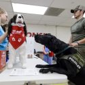 Photo: Police dog sniffing stuffed dog