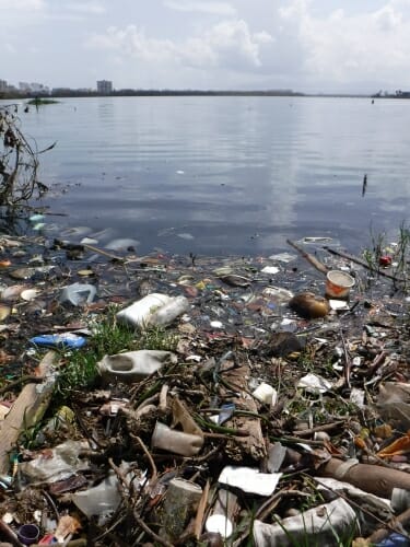 Photo: Shoreline littered with debris