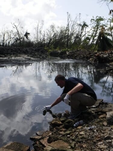 Photo: Hubbard taking water from a pond or large puddle