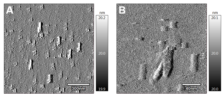 Atomic-scale images of gemcitabine-loaded nanoparticles reveal an unusual cylindrical shape.