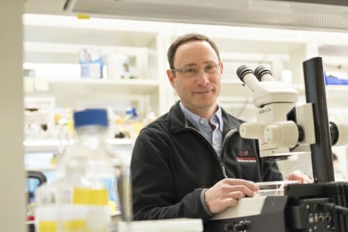 Photo: Phillip Newmark in his lab