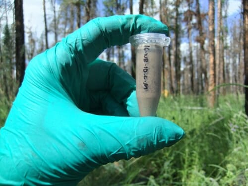 Photo: Gloved hand holding tube of soil