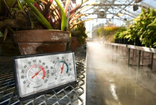 Photo: Closeup of thermometer and humidity gauge in greenhouse