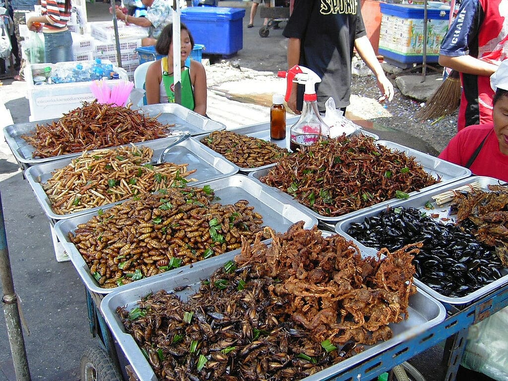 Photo: Deep-fried insects displayed at an open-air market