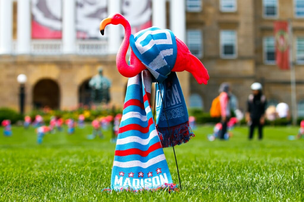 Thousands of soccer scarves have begun popping up throughout the Madison area — including on 50 pink flamingos Monday on Bascom Hill — to raise awareness for Madison’s new professional soccer team. The scarves bear the logo of Breese Stevens Field, the historic venue the club will call home when it kicks off its inaugural season in the spring of 2019. The scarves are being donated to the public. So go ahead and take one! Really.